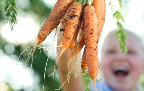 Pojke som håller upp ett knippe morötter